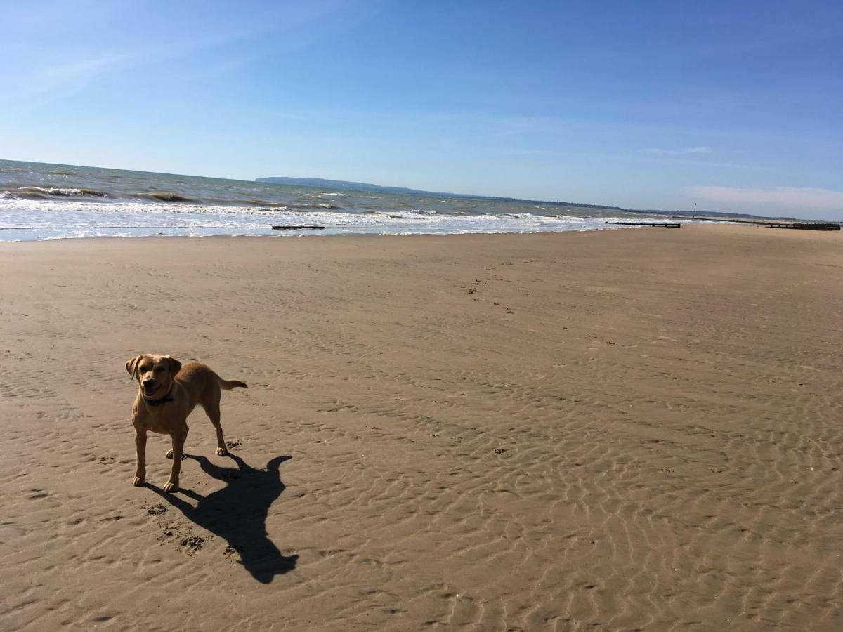 7 Coastguard Cottages, Jury'S Gap, Camber Sands מראה חיצוני תמונה
